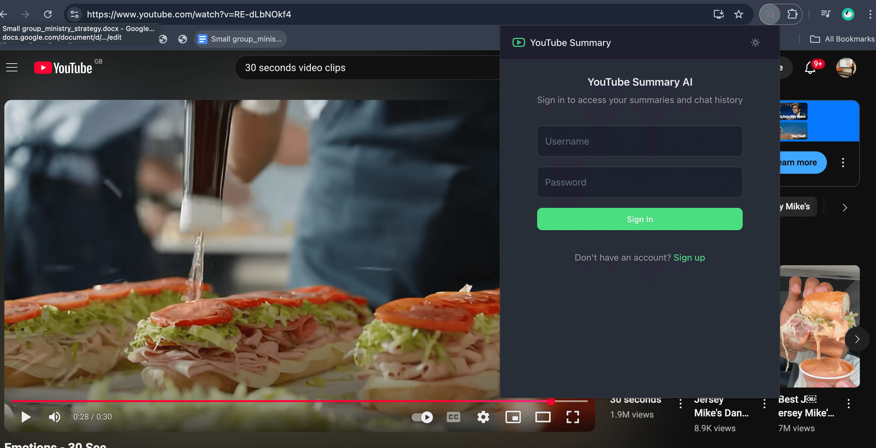Chrome extension view